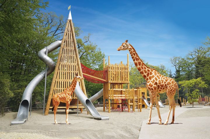 Parc De L'ile Des Ravageurs - Aire De Jeux Découvrez la plus grande aire de jeux du Grand Est - Zoo Amnéville