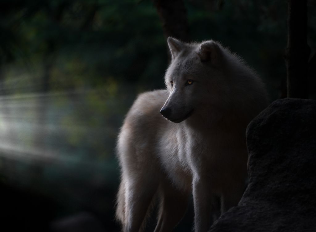 wolf-flashlight
