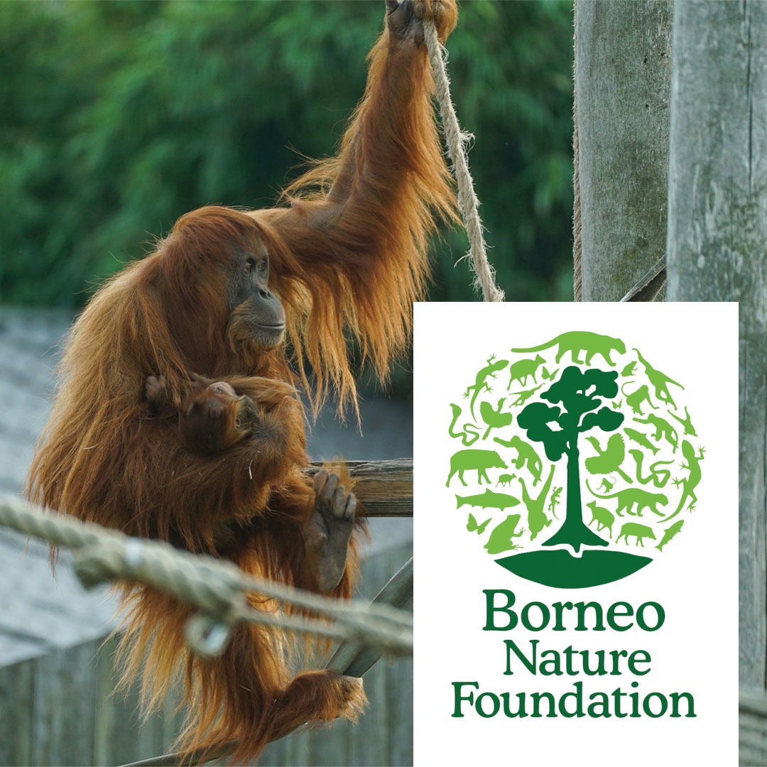 Borneo-Nature-Foundation