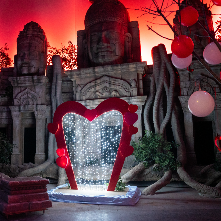 Plan de travail 26 copie 4