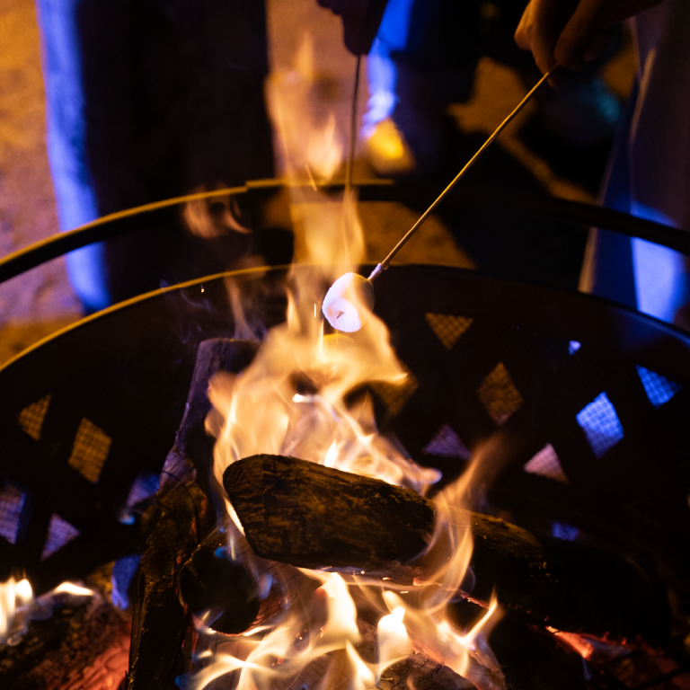 Plan de travail 26 copie 5