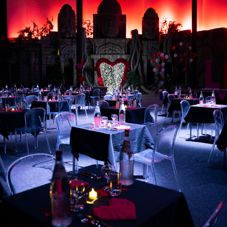 Plan de travail 26 copie 7