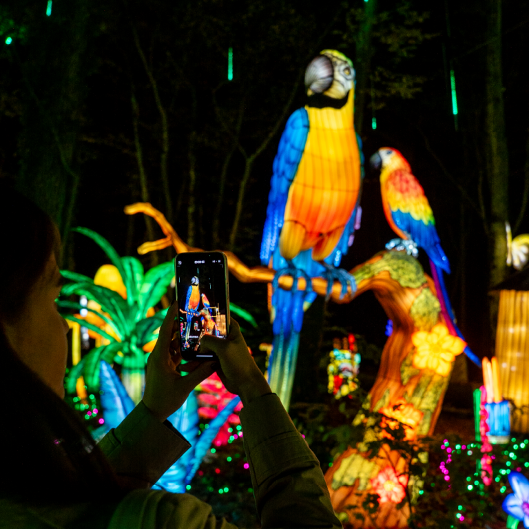 Plan de travail 26 copie