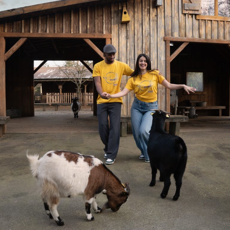 carre-carnaval-2-v2-100