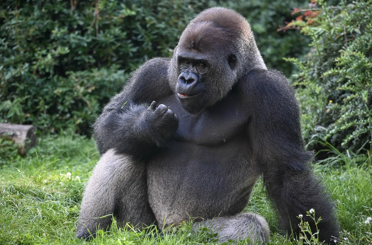 Capture-decran-2025-10-28-a-16.26.51