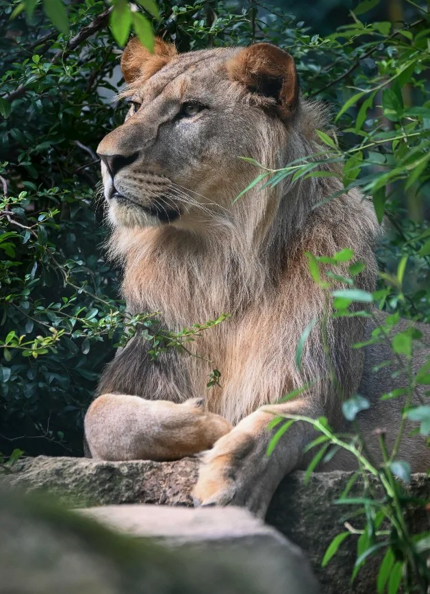 Capture-decran-2025-11-25-a-14.58.50