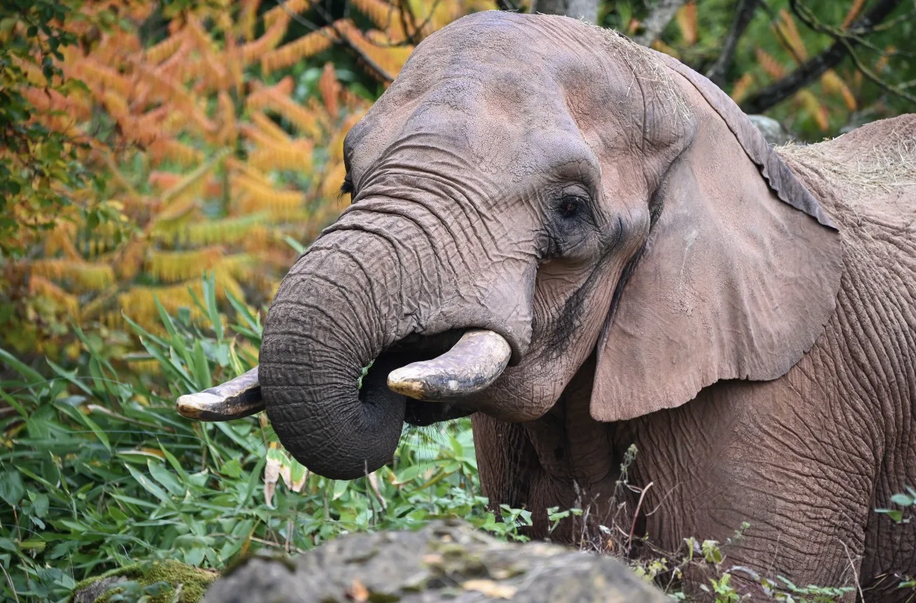 Capture-decran-2025-12-08-a-16.29.56