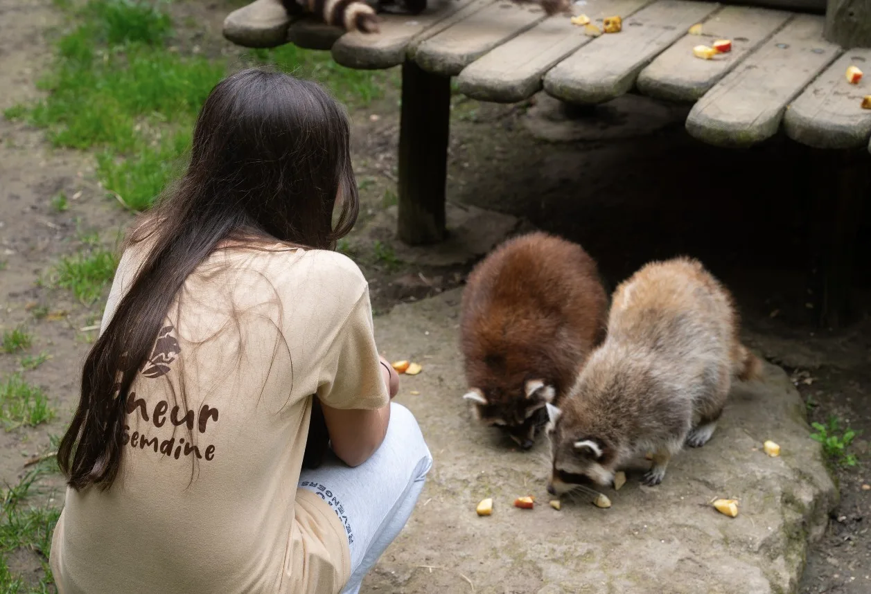 Capture-decran-2025-12-08-a-16.32.35