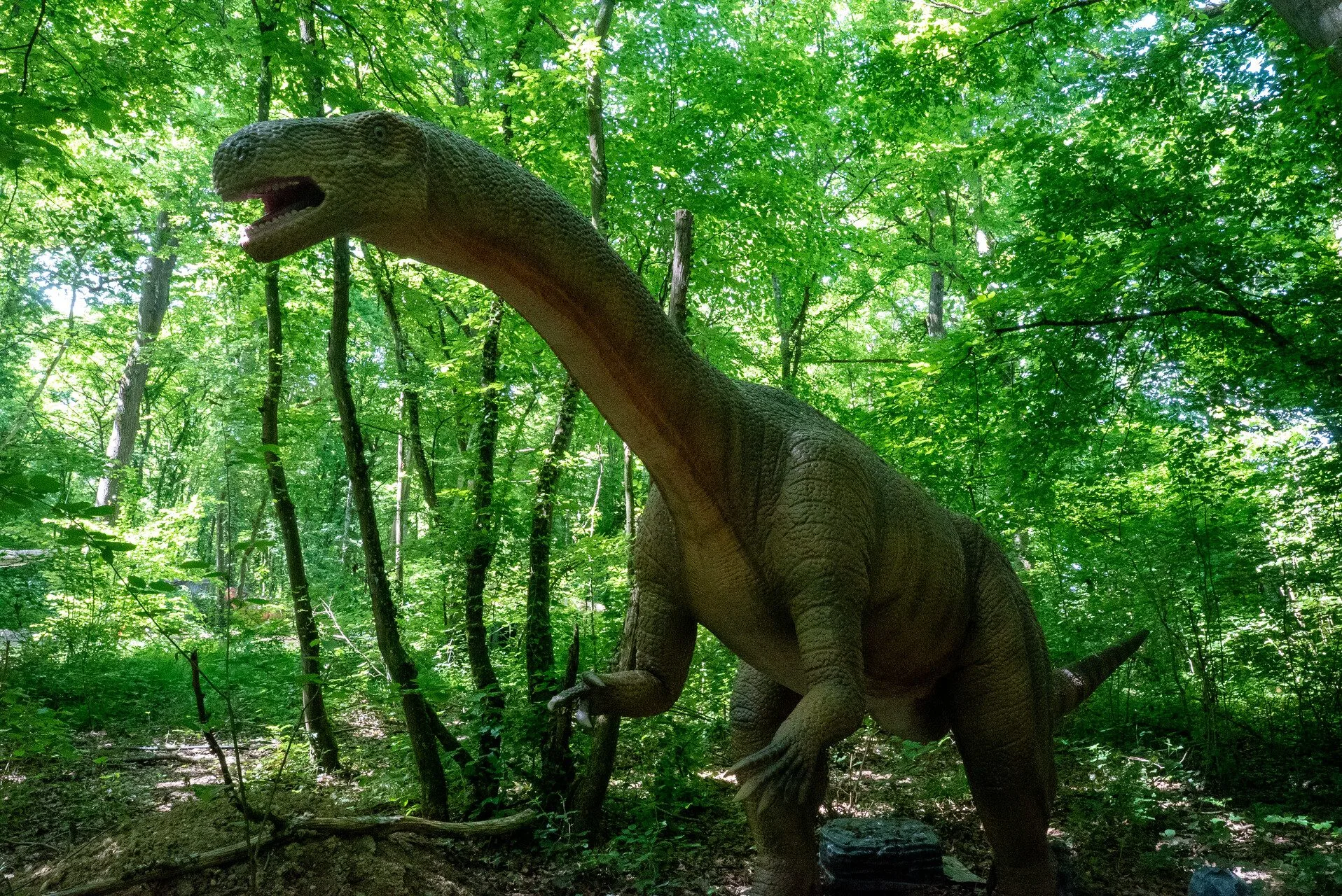 Plateosaurus