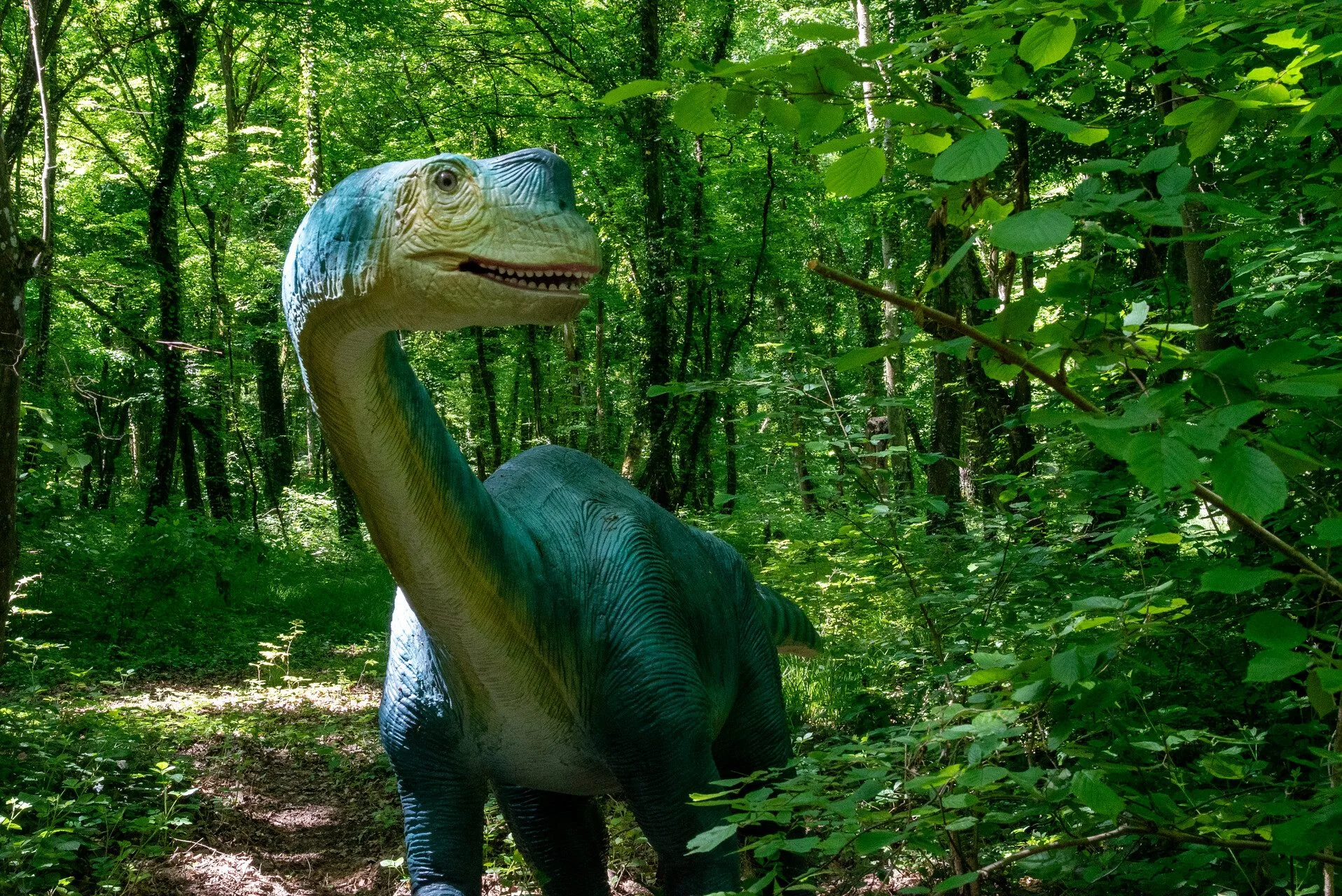 Europasaurus