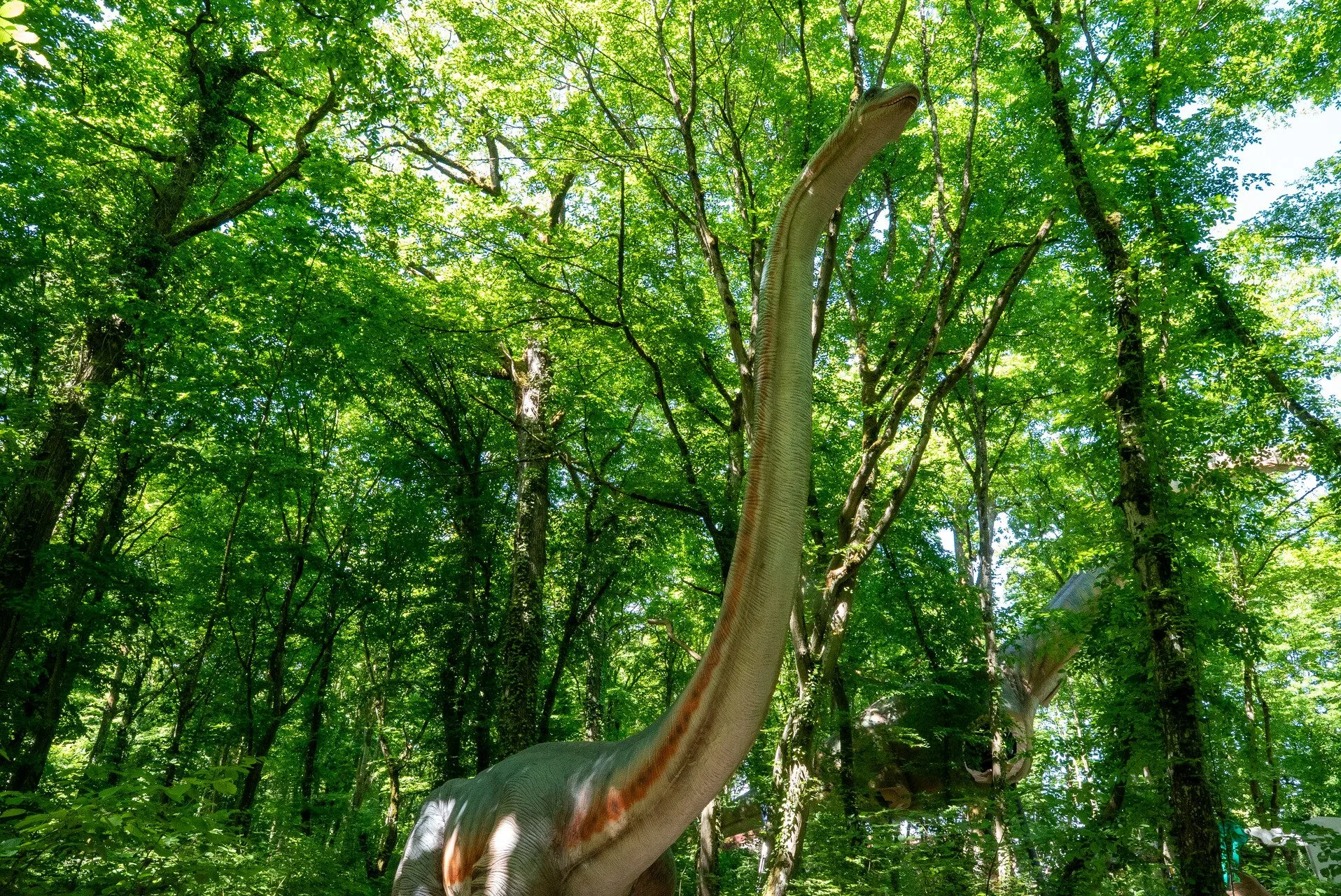 Omeisaurus