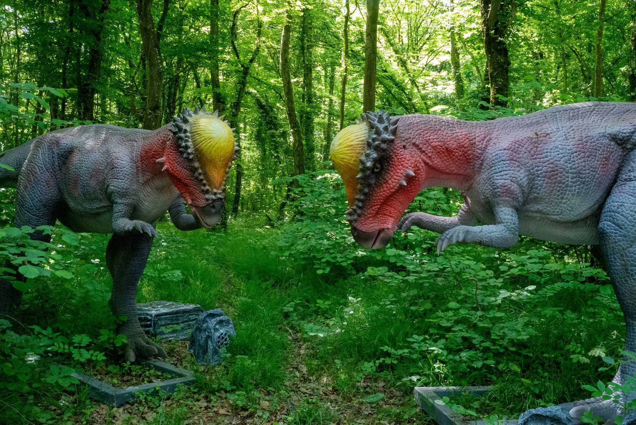 Pachycephalosaurus 