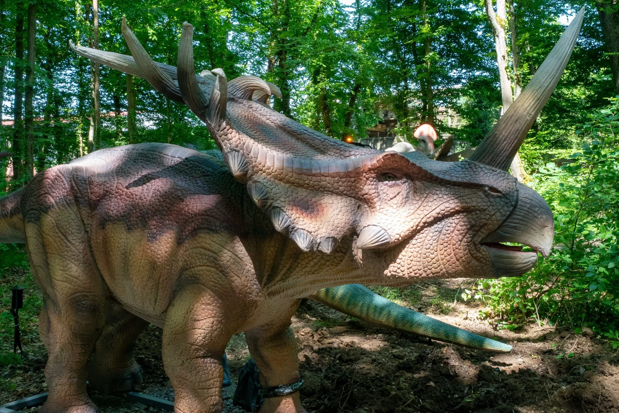 Styracosaurus 