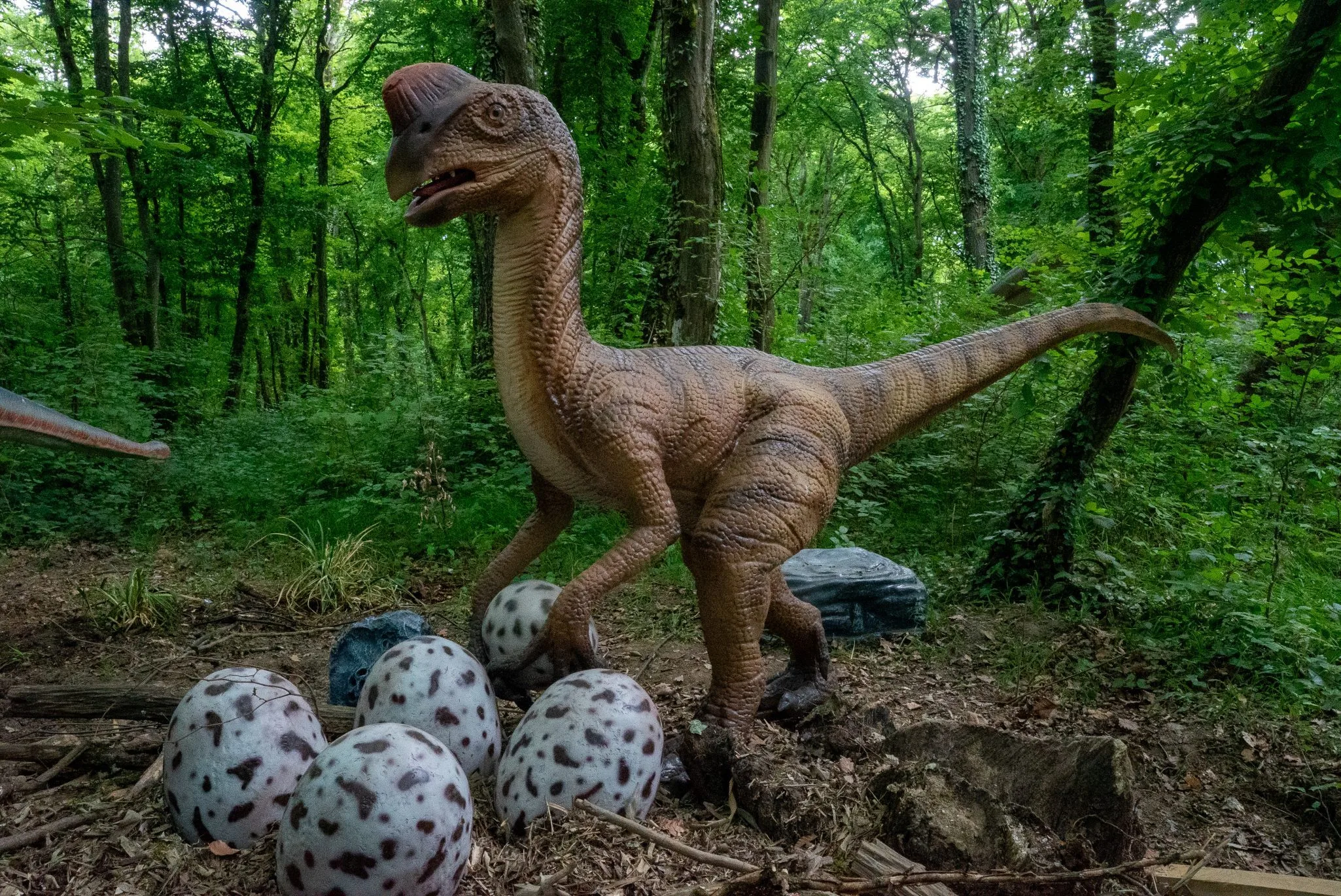 Oviraptor