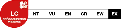 Skoll a le statut Préoccupation mineure (LC)