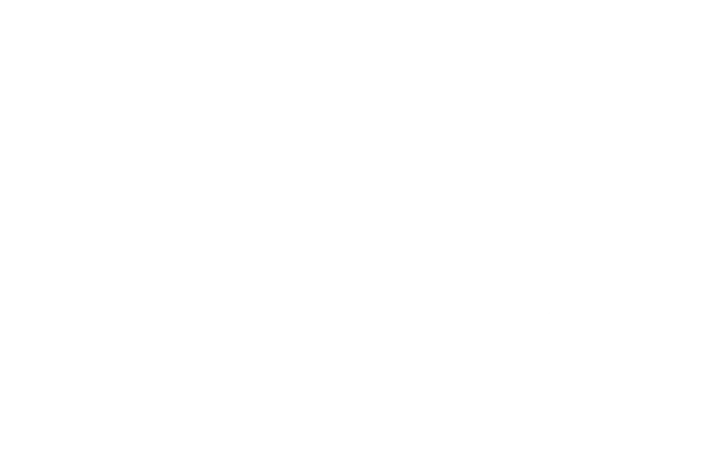 Lynx_Carpates-1000x650-1