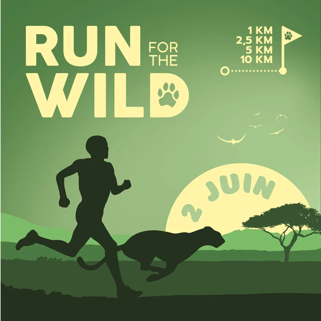 Run-for-the-Wild-3