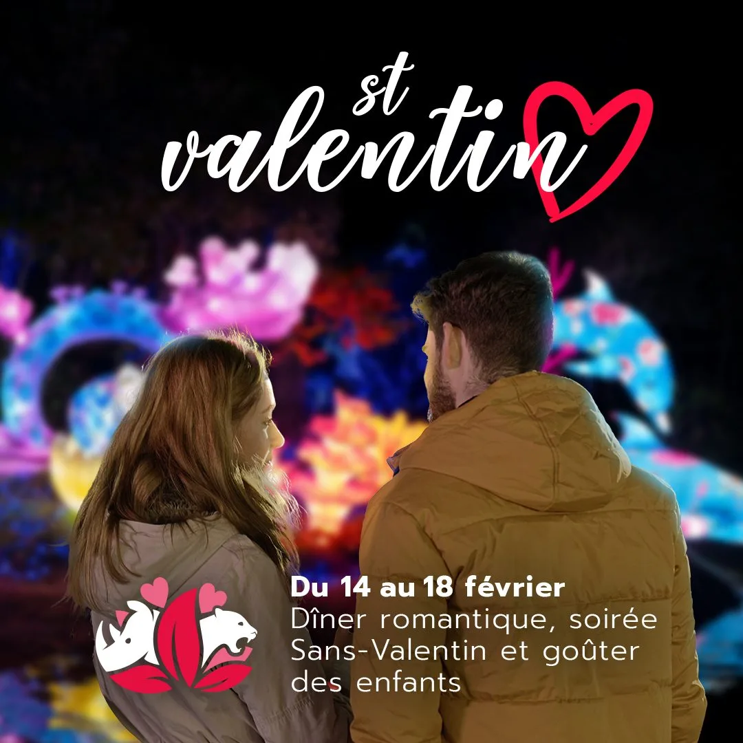 Semaine-de-lamour_Programme