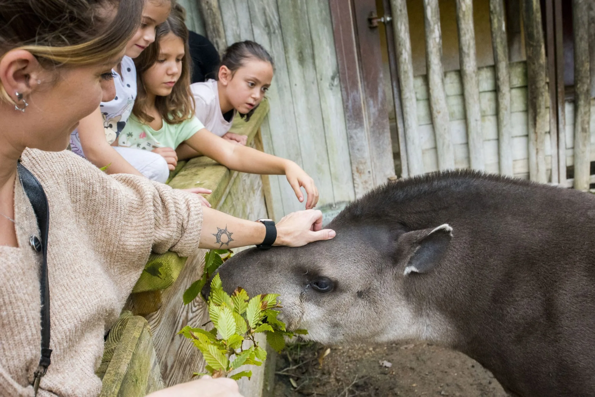 Soigneur-dun-jour-Adolescent-4