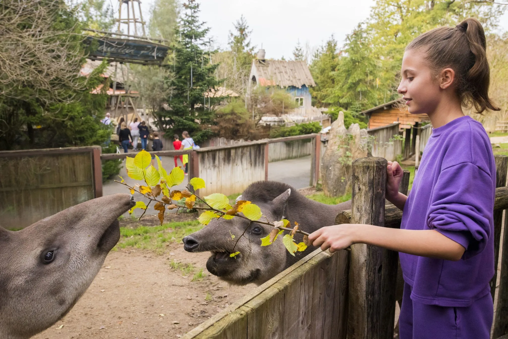 Soigneur-dun-jour-Adolescent-6