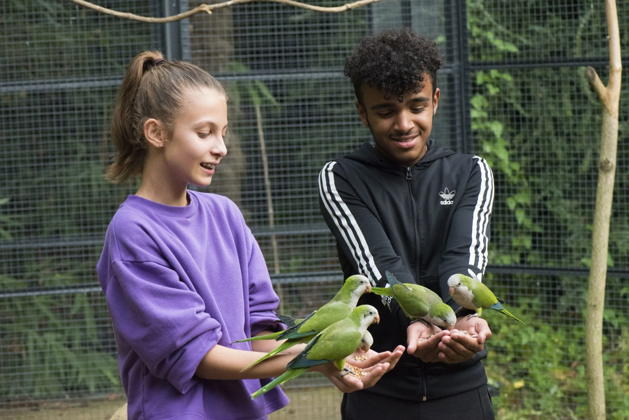 Soigneur-dun-jour-Adolescent-7