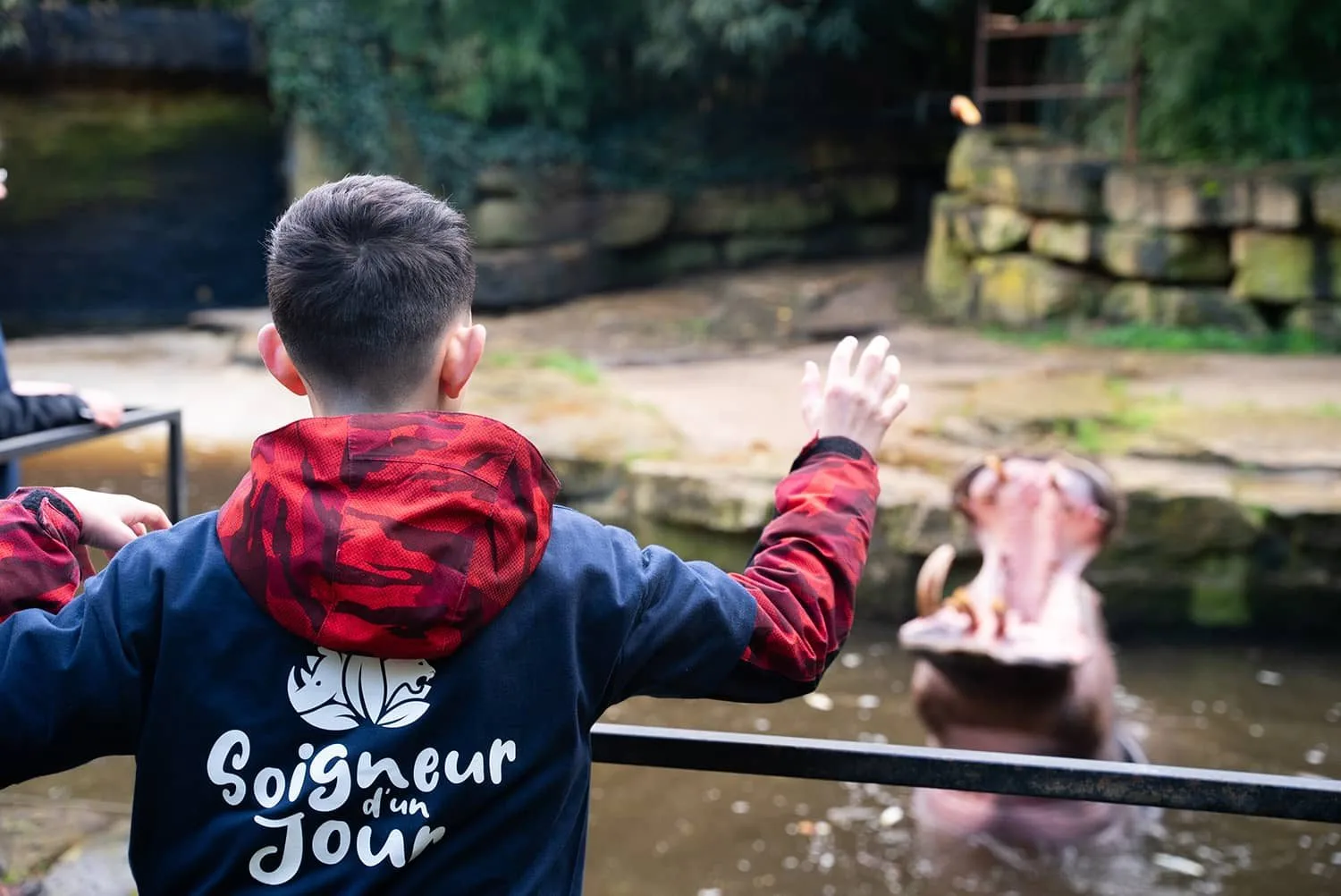 Soigneur-dun-jour-Adolescent_12