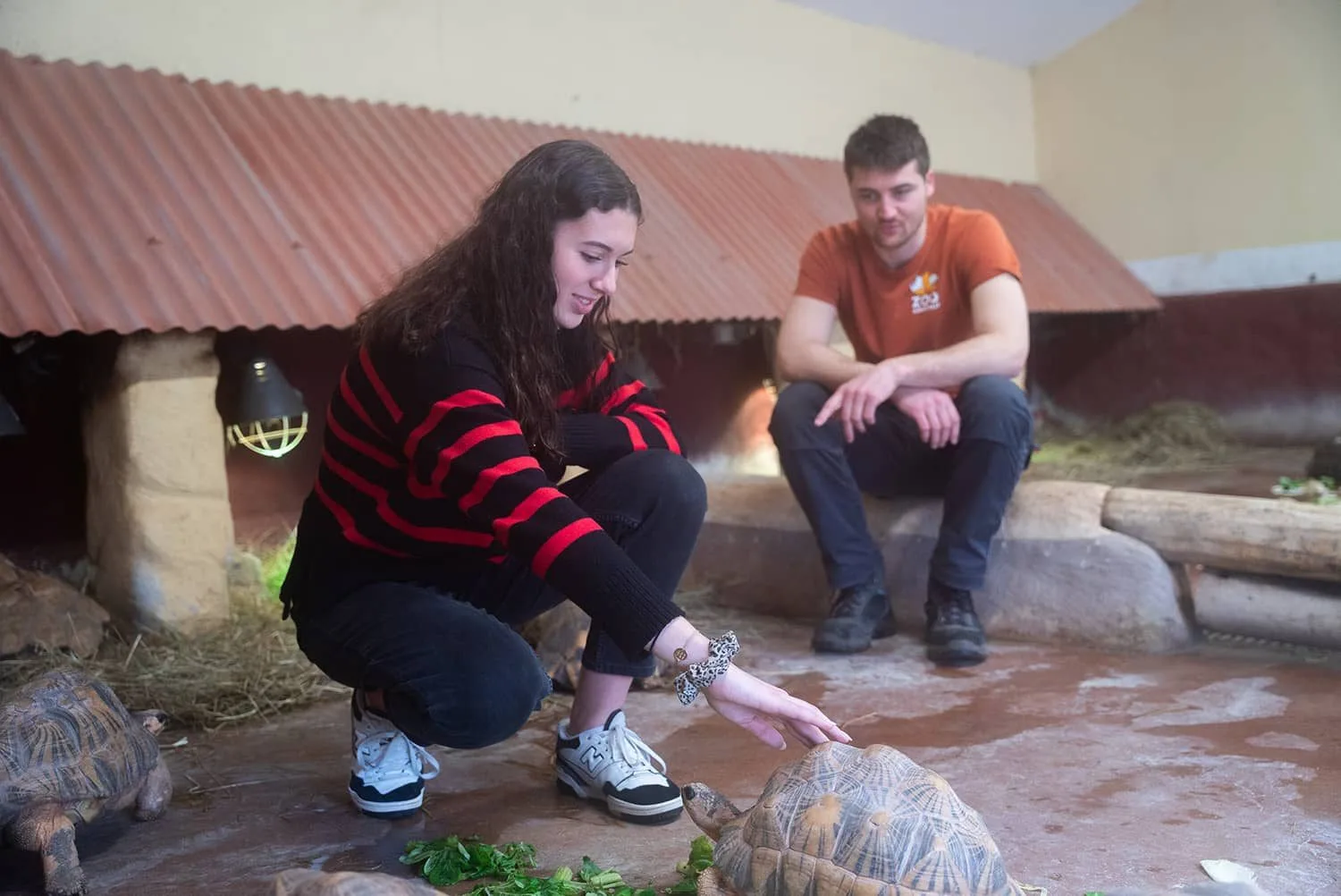 Soigneur-dun-jour-Adulte_10