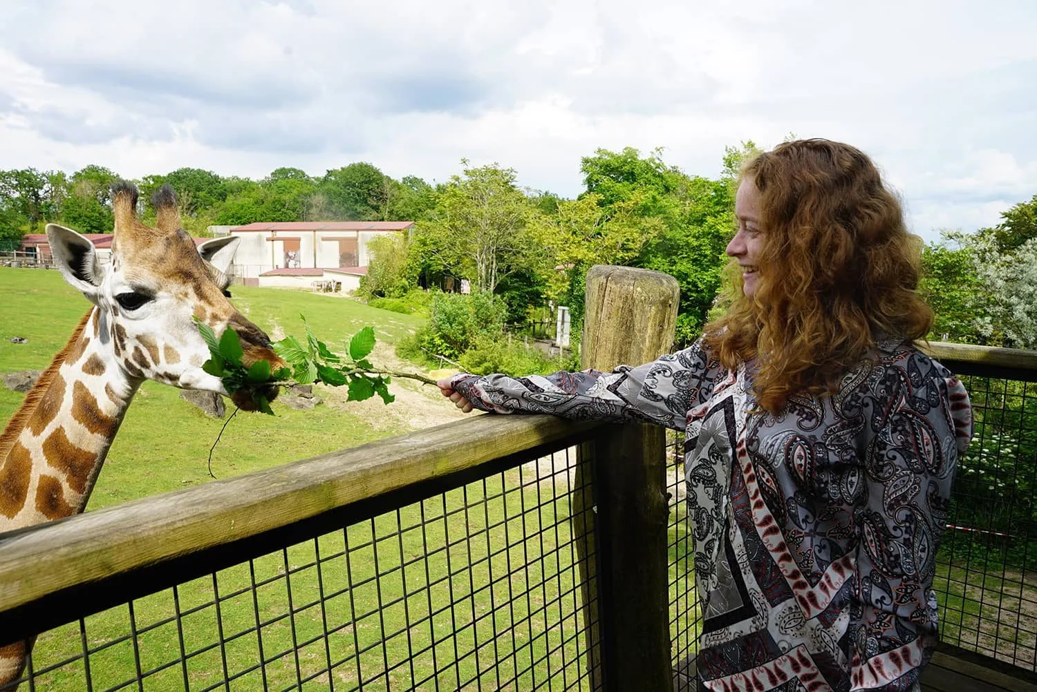 Soigneur-dun-jour-Adulte_11