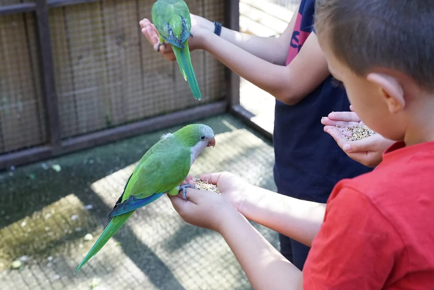 Soigneur-dun-jour-enfant_3