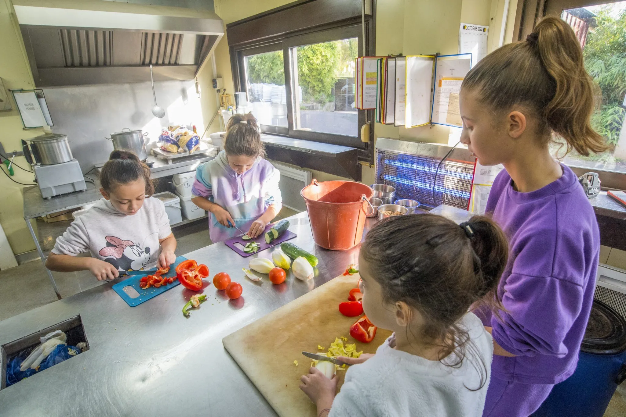 activite-soigneur-un-jour_28.10.22_adrien-fareseDSC_3261-scaled