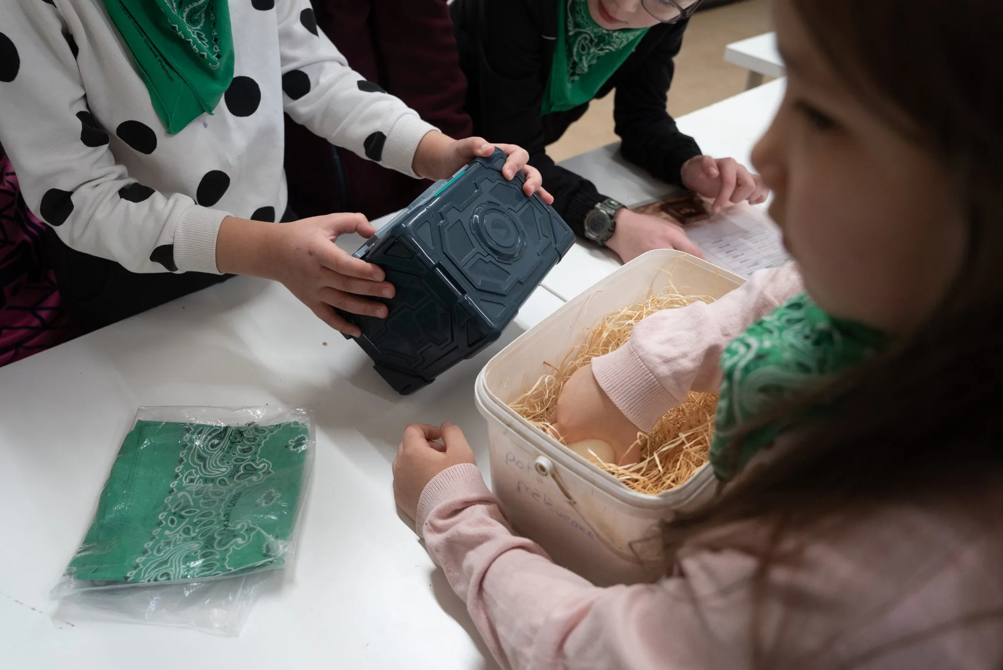anniversaire-enfant-dinosaure-moselle-4