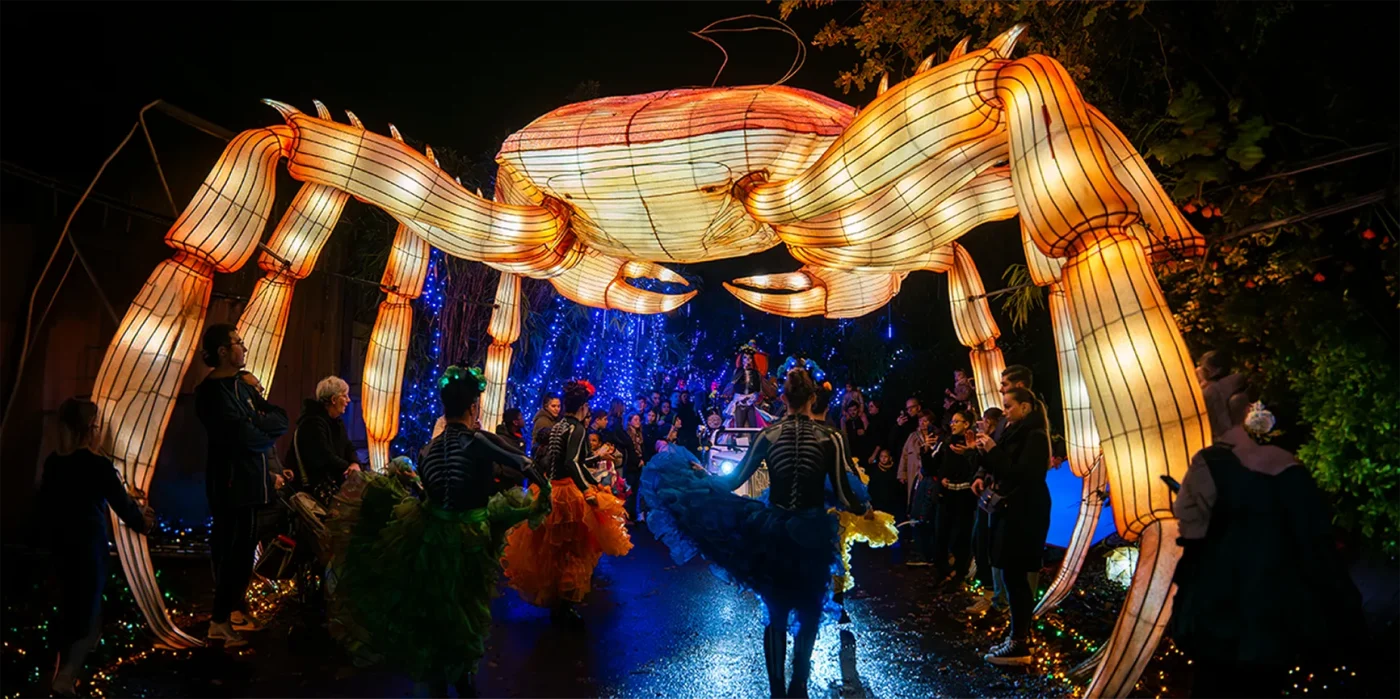 Festival Luminescences sortie en famille