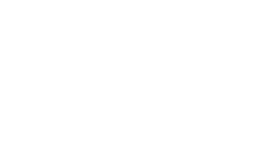 faucon_pelerin-1000x650-1