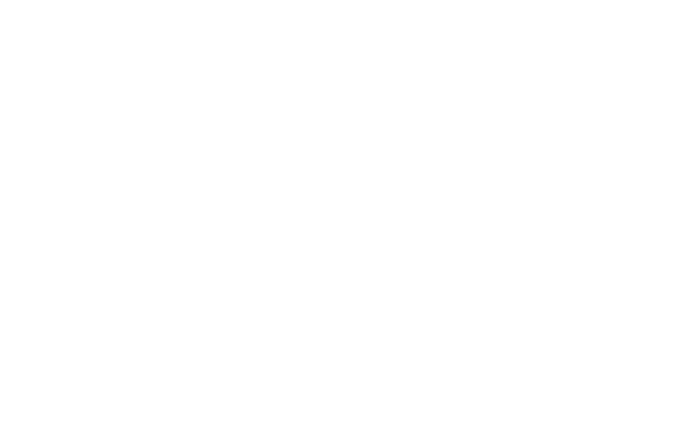 loup_arctique-1000x650-1