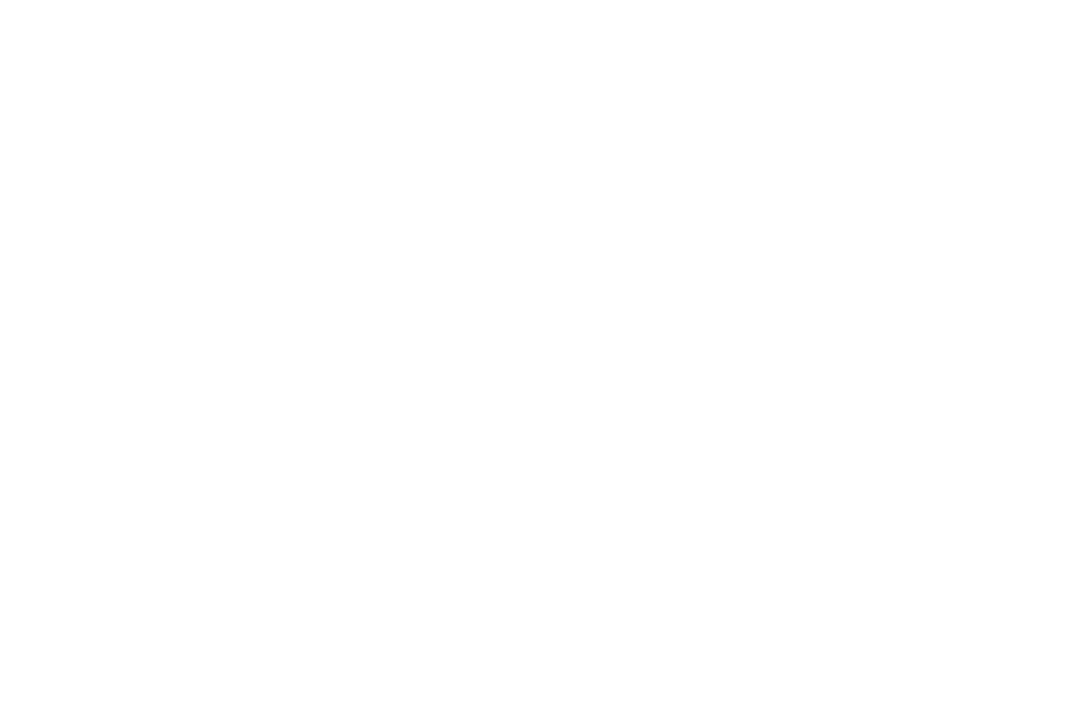 phalanger_volant-1000x650-1