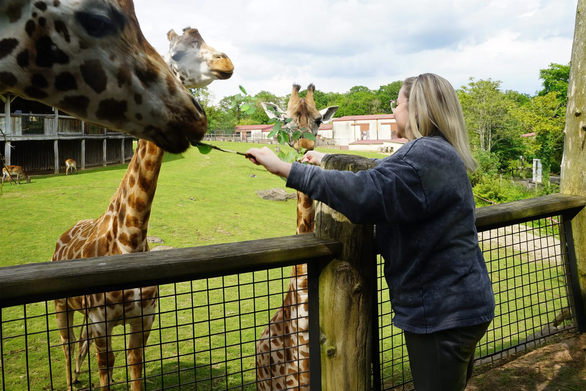 soigneur_adulte_ete@2x