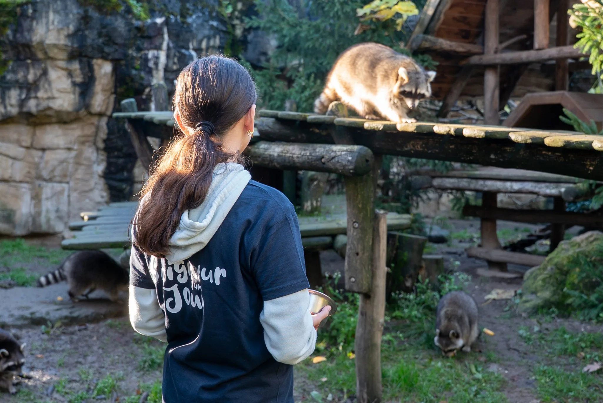 soigneur_junior_hiver